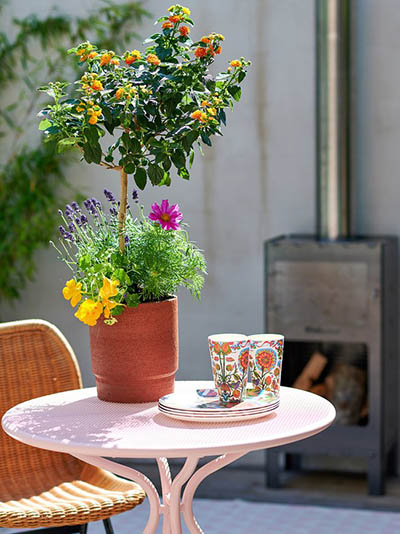 Balcon concentré d'été